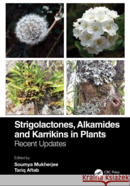 Strigolactones, Alkamides and Karrikins in Plants: Recent Updates and Future Prospects Mukherjee, Soumya 9781032124339 CRC Press - książka