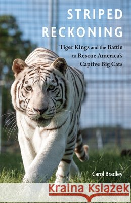 Striped Reckoning: Tiger Kings and the Battle to Rescue America's Captive Big Cats Carol Bradley 9781496247957 Bison Books - książka