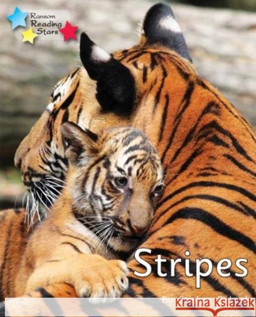 Stripes: Phonics Phase 1/Lilac  9781800471894 Ransom Publishing - książka