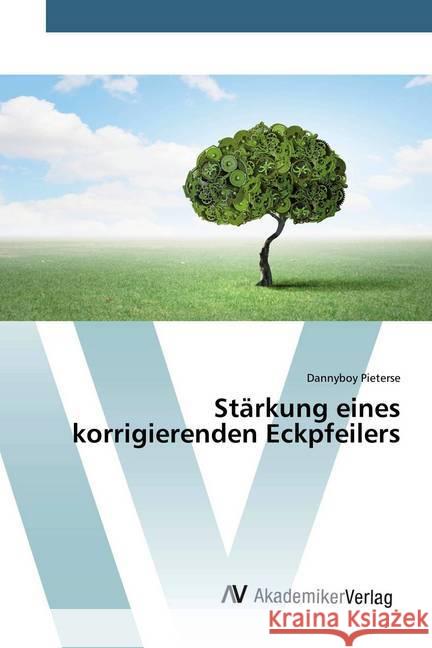 Stärkung eines korrigierenden Eckpfeilers Pieterse, Dannyboy 9786202226684 AV Akademikerverlag - książka