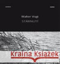 Stárnutí Walter Vogt 9788087341582 Havran - książka