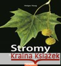 Stromy Paschalis Dougalis 9788076701038 Nakladatelství Kazda - książka