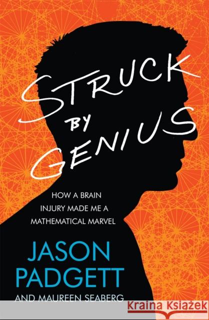 Struck by Genius: How a Brain Injury Made Me a Mathematical Marvel Maureen Seaberg 9780755364602 Headline Publishing Group - książka