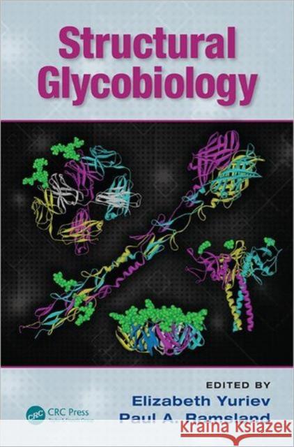Structural Glycobiology Elizabeth Yuriev Paul A. Ramsland 9781439854600 CRC Press - książka