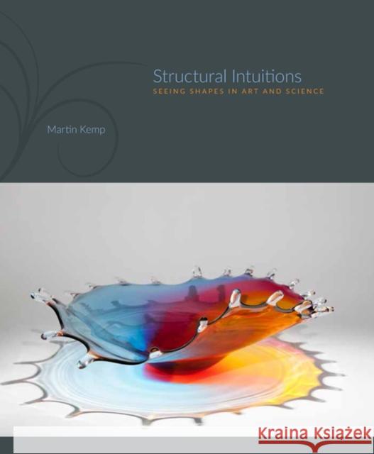 Structural Intuitions: Seeing Shapes in Art and Science Martin Kemp 9780813937007 University of Virginia Press - książka