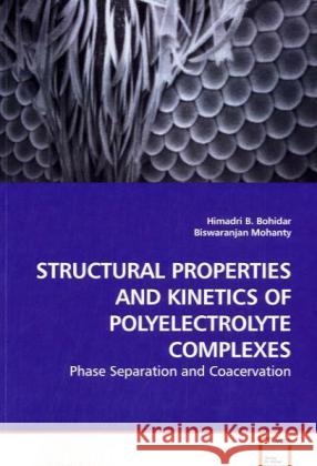 STRUCTURAL PROPERTIES AND KINETICS OF POLYELECTROLYTE COMPLEXES : Phase Separation and Coacervation Bohidar, Himadri B. 9783639171594 VDM Verlag Dr. Müller - książka