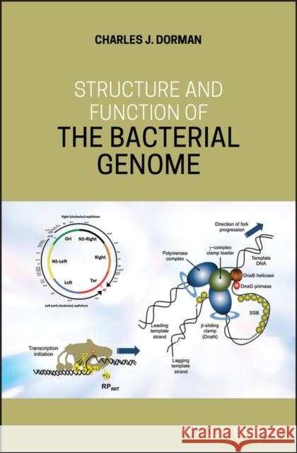 Structure and Function of the Bacterial Genome Charles J. Dorman 9781119308799 Wiley-Blackwell - książka