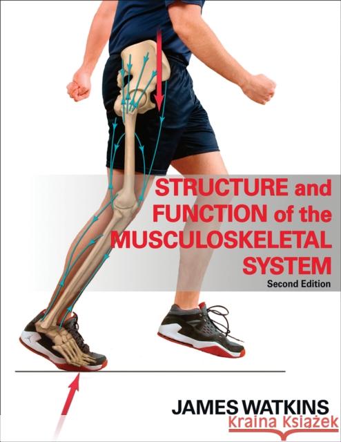 Structure and Function of the Musculoskeletal System - 2e James Watkins 9780736078900  - książka