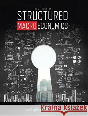 Structured Macroeconomics Stephen Gillespie 9781634879675 Eurospan (JL) - książka