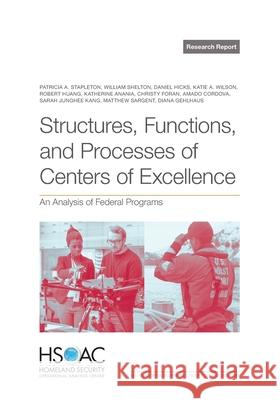 Structures, Functions, and Processes of Centers of Excellence: An Analysis of Federal Programs Patricia A. Stapleton William Shelton Daniel Hicks 9781977413055 RAND Corporation - książka