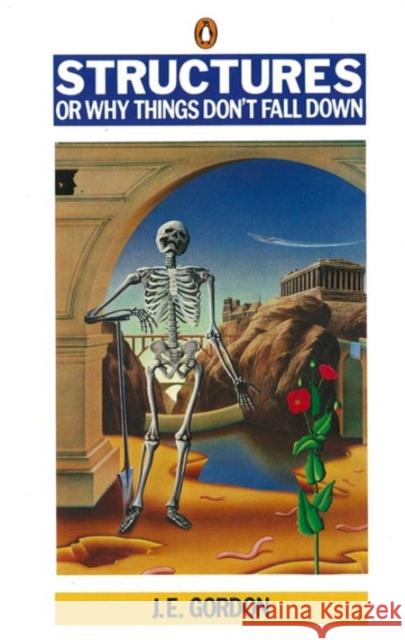 Structures: Or Why Things Don't Fall Down J E Gordon 9780140136289 Penguin Books Ltd - książka