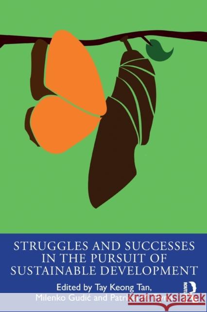 Struggles and Successes in the Pursuit of Sustainable Development Tay Keong Tan Milenko Gudic Patricia M. Flynn 9780815351757 Routledge - książka