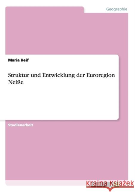 Struktur und Entwicklung der Euroregion Neiße Reif, Maria 9783640517381 Grin Verlag - książka