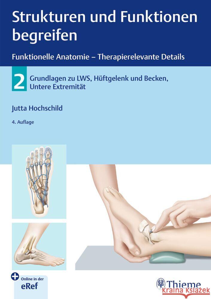 Strukturen und Funktionen begreifen - Funktionelle Anatomie. Bd.2 Hochschild, Jutta, Jutta Hochschild 9783131123749 Thieme, Stuttgart - książka