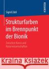 Strukturfarben Im Brennpunkt Der Bionik: Zwischen Kunst Und Naturwissenschaften Zobl, Sigrid 9783658208028 Springer Spektrum