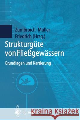 Strukturgüte Von Fließgewässern: Grundlagen Und Kartierung Zumbroich, Thomas 9783540648697 Springer - książka