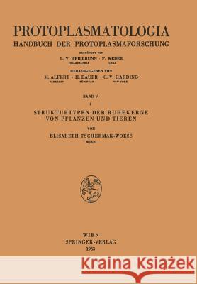 Strukturtypen Der Ruhekerne Von Pflanzen Und Tieren Elisabeth Tschermak-Woess 9783211806531 Springer - książka