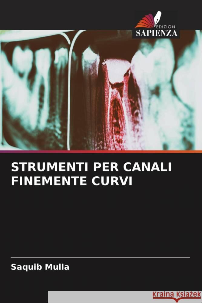 STRUMENTI PER CANALI FINEMENTE CURVI Mulla, Saquib 9786204938806 Edizioni Sapienza - książka