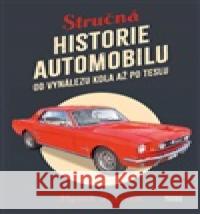Stručná historie automobilu Hynek Fajmon 9788074853203 Books & Pipes - książka