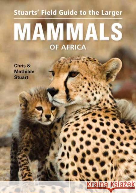 Stuarts’ Field Guide to Larger Mammals of Africa Mathilde Stuart 9781775842743 Penguin Random House South Africa - książka