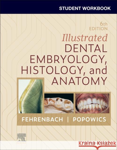 Student Workbook for Illustrated Dental Embryology, Histology and Anatomy Margaret J. (Oral Biologist and Dental Hygienist; Previous Adjunct Instructor, Bachelor of Applied Science Degree, Denta 9780443104251 Elsevier Health Sciences - książka