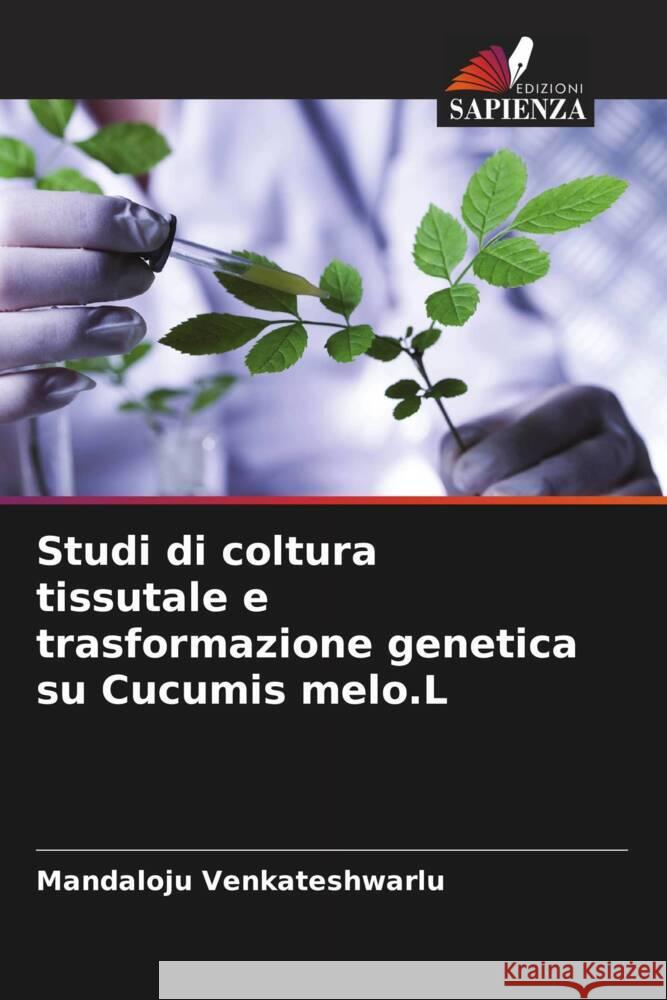 Studi di coltura tissutale e trasformazione genetica su Cucumis melo.L Venkateshwarlu, Mandaloju 9786204924830 Edizioni Sapienza - książka