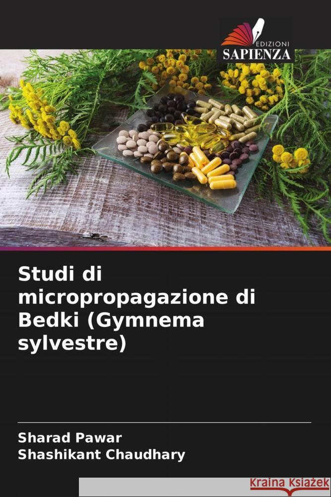 Studi di micropropagazione di Bedki (Gymnema sylvestre) Sharad Pawar Shashikant Chaudhary  9786206054122 Edizioni Sapienza - książka