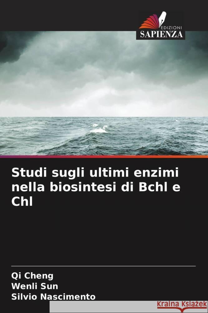 Studi sugli ultimi enzimi nella biosintesi di Bchl e Chl Qi Cheng Wenli Sun Silvio Nascimento 9786207883134 Edizioni Sapienza - książka