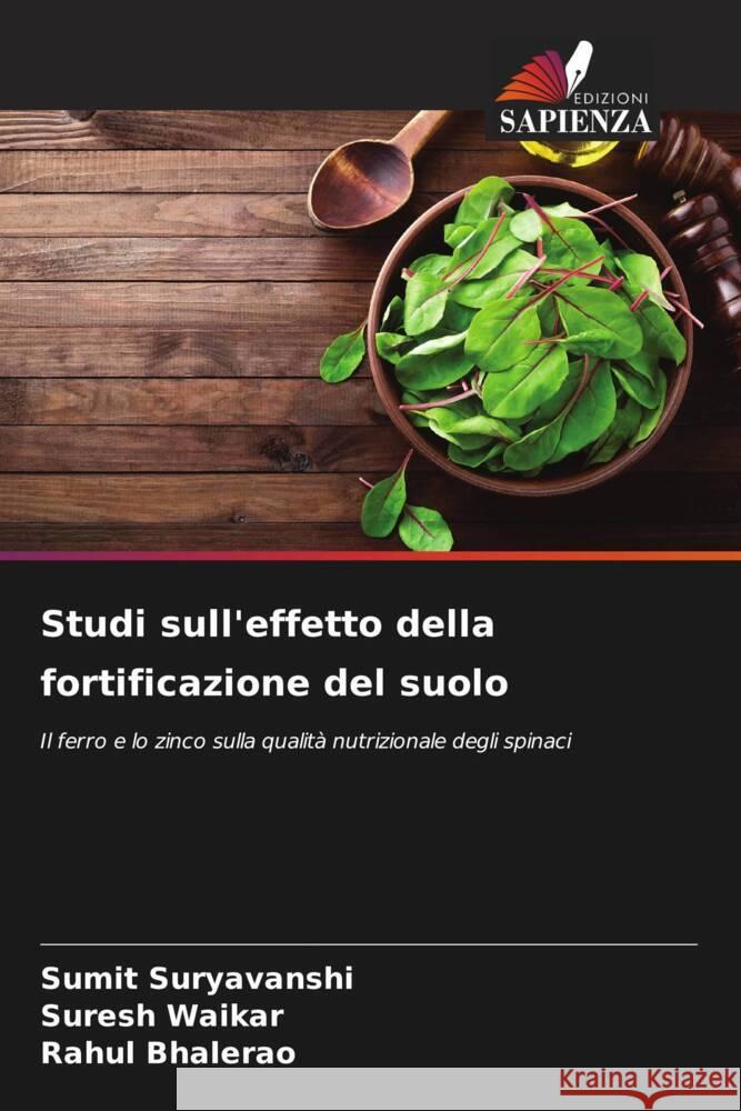 Studi sull'effetto della fortificazione del suolo Suryavanshi, Sumit, Waikar, Suresh, Bhalerao, Rahul 9786205223178 Edizioni Sapienza - książka