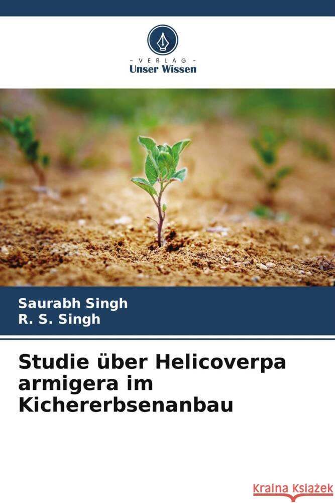 Studie ?ber Helicoverpa armigera im Kichererbsenanbau Saurabh Singh R. S. Singh 9786208579081 Verlag Unser Wissen - książka