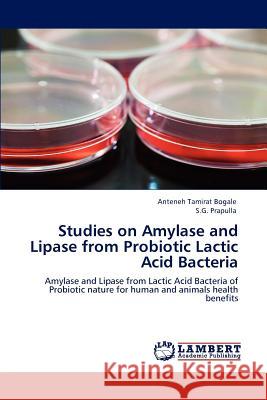 Studies on Amylase and Lipase from Probiotic Lactic Acid Bacteria Anteneh Tamirat Bogale S.G. Prapulla  9783847318071 LAP Lambert Academic Publishing AG & Co KG - książka