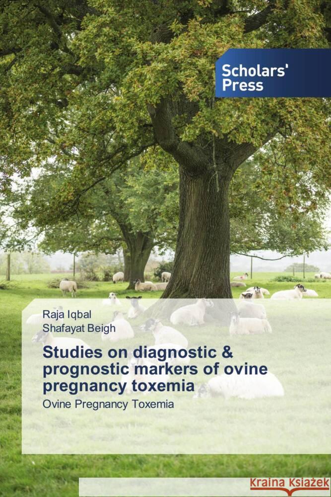 Studies on diagnostic & prognostic markers of ovine pregnancy toxemia Iqbal, Raja, Beigh, Shafayat 9786205520369 Scholars' Press - książka