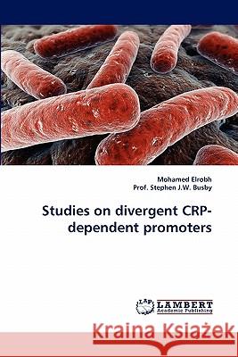 Studies on divergent CRP-dependent promoters Elrobh, Mohamed 9783838351971 LAP Lambert Academic Publishing AG & Co KG - książka