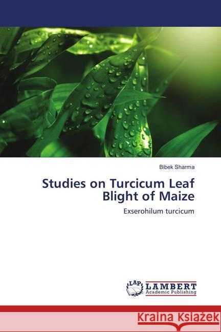 Studies on Turcicum Leaf Blight of Maize : Exserohilum turcicum Sharma, Bibek 9786139580743 LAP Lambert Academic Publishing - książka