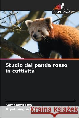 Studio del panda rosso in cattività Dey, Somenath 9786205274736 Edizioni Sapienza - książka