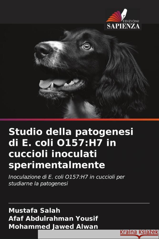 Studio della patogenesi di E. coli O157: H7 in cuccioli inoculati sperimentalmente Mustafa Salah Afaf Abdulrahman Yousif Mohammed Jawed Alwan 9786207403134 Edizioni Sapienza - książka