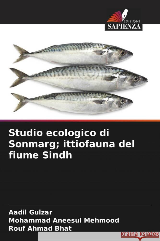 Studio ecologico di Sonmarg; ittiofauna del fiume Sindh Gulzar, Aadil, Mehmood, Mohammad Aneesul, Bhat, Rouf Ahmad 9786206336655 Edizioni Sapienza - książka