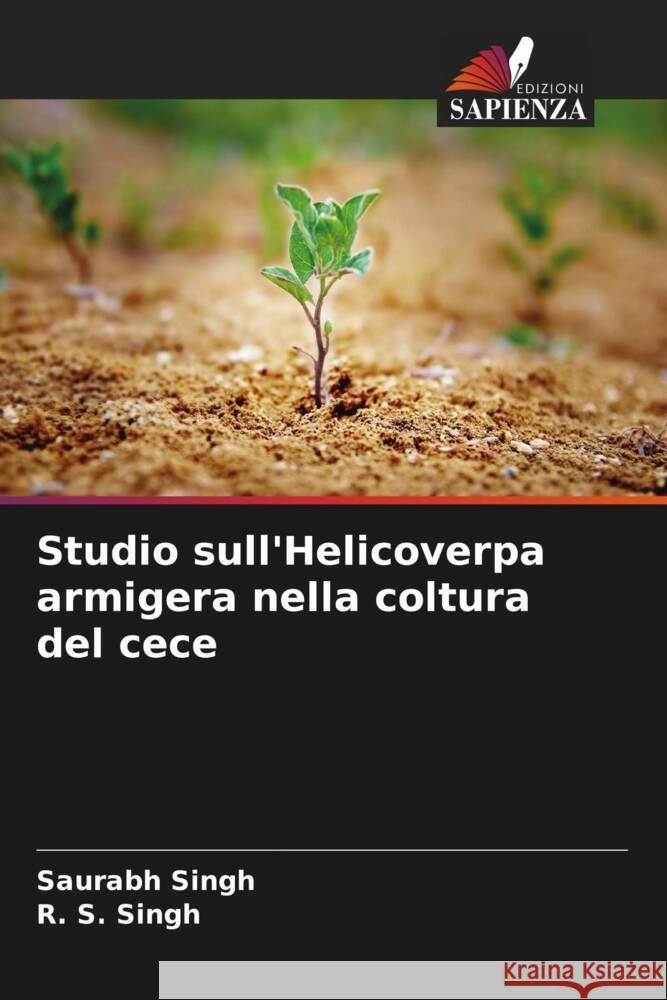 Studio sull'Helicoverpa armigera nella coltura del cece Saurabh Singh R. S. Singh 9786208579135 Edizioni Sapienza - książka