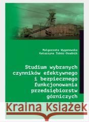 Studium wybranych czynników efektywnego... Wyganowska Małgorzata, Tobór-Osadnik Katarzyna 9788381830430 Śląsk - książka
