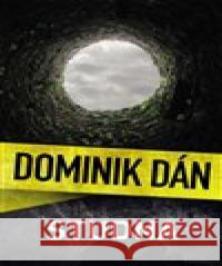 Studna Dominik Dán 9788027604753 Slovart - książka