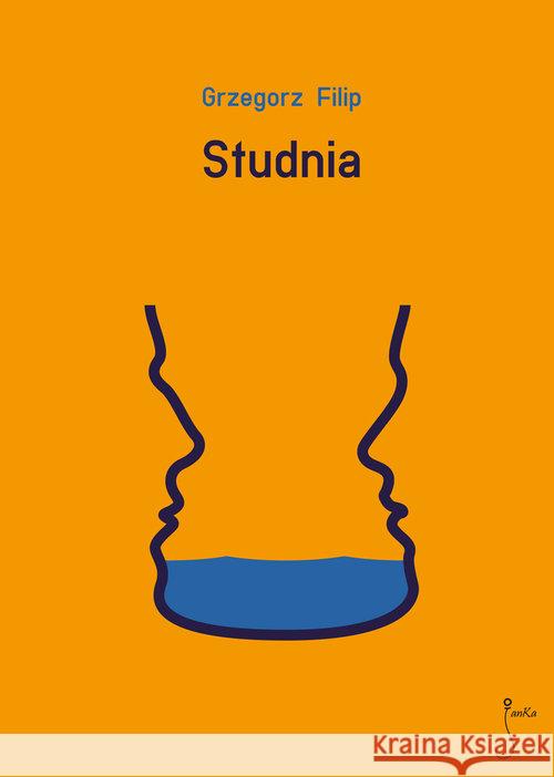 Studnia Filip Grzegorz 9788362247288 JanKa - książka