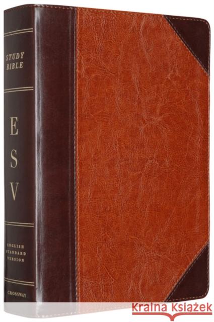 Study Bible-ESV-Portfolio Design Study 9781433503795 Crossway Books - książka