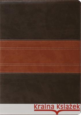 Study Bible-ESV-Trail Design  9781433503931 Crossway Books - książka