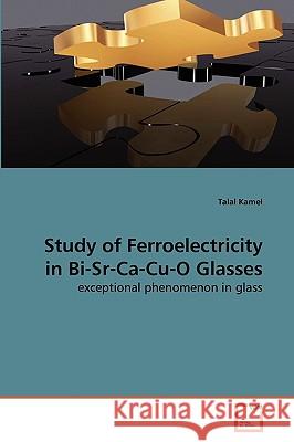 Study of Ferroelectricity in Bi-Sr-Ca-Cu-O Glasses Talal Kamel 9783639277173 VDM Verlag - książka