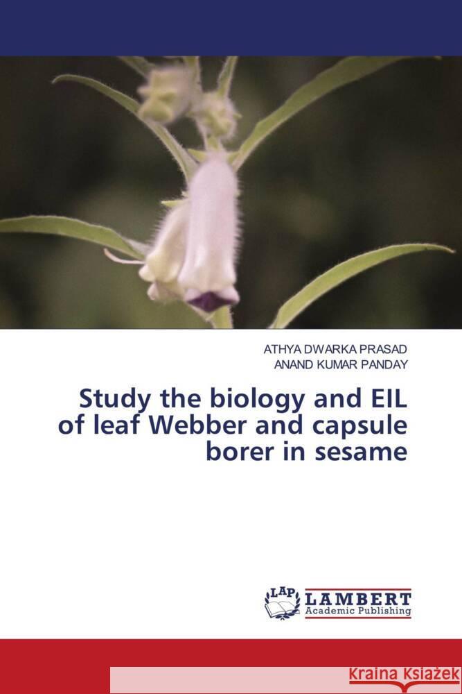 Study the biology and EIL of leaf Webber and capsule borer in sesame DWARKA PRASAD, ATHYA, PANDAY, ANAND KUMAR 9786204745404 LAP Lambert Academic Publishing - książka