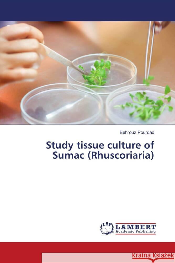 Study tissue culture of Sumac (Rhuscoriaria) Pourdad, Behrouz 9786204718774 LAP Lambert Academic Publishing - książka