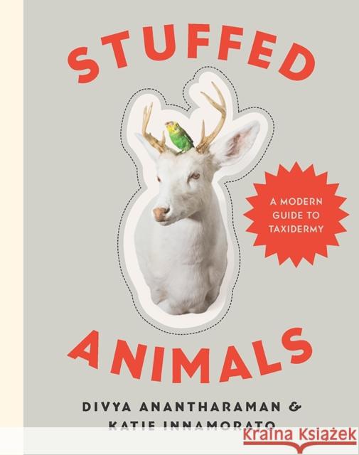 Stuffed Animals: A Modern Guide to Taxidermy Katie Innamorato 9781581573329 WW Norton & Co - książka