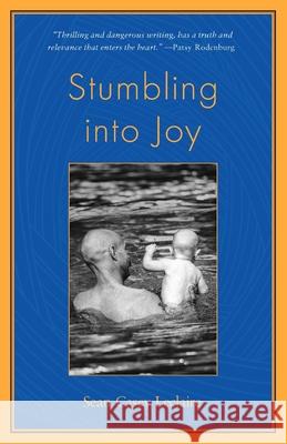 Stumbling into Joy Sean Casey LeClaire 9780972485920 Satya Media - książka