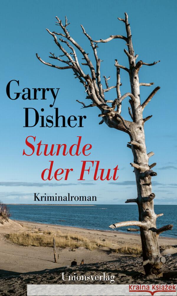 Stunde der Flut Disher, Garry 9783293005846 Unionsverlag - książka