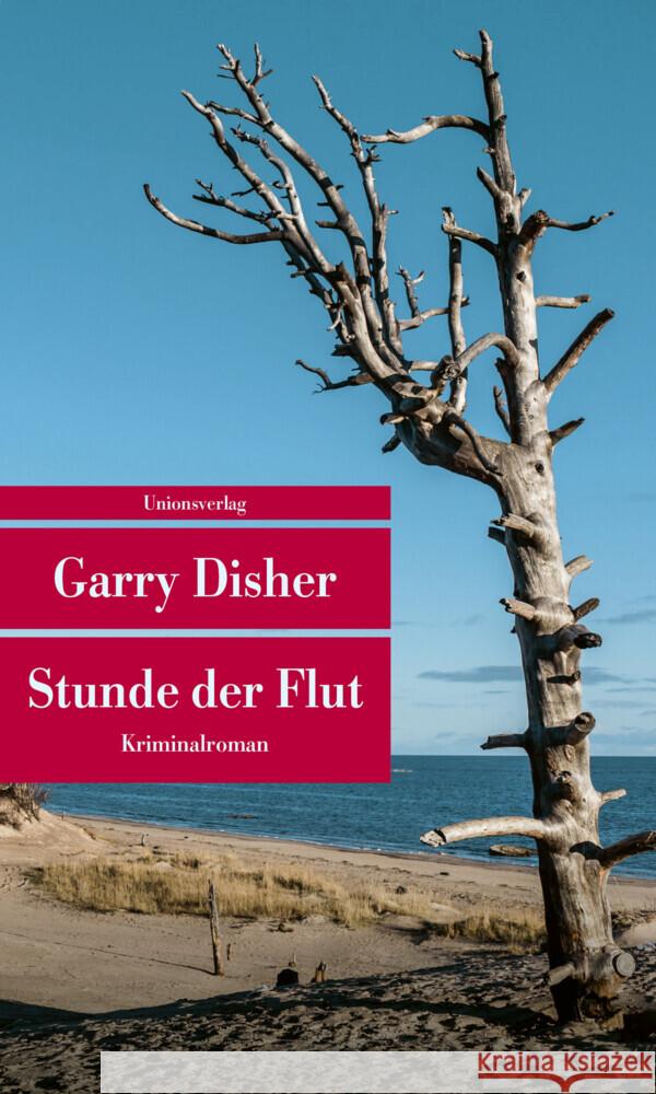 Stunde der Flut Disher, Garry 9783293710054 Unionsverlag - książka